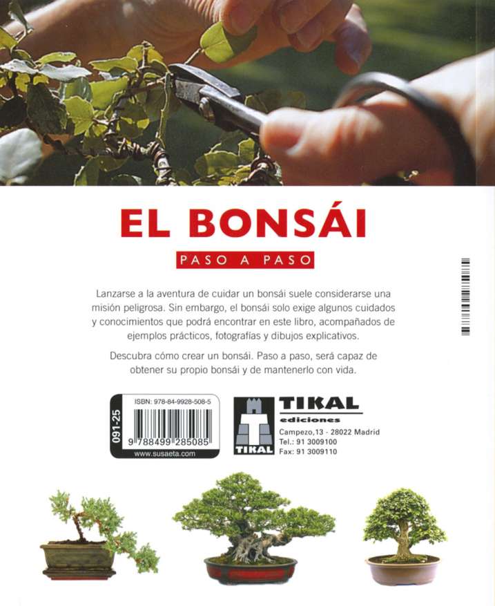 El bonsái paso a paso