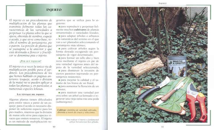 Sembrar, esquejar, injertar
