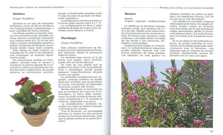 Cómo cultivar plantas en tu...