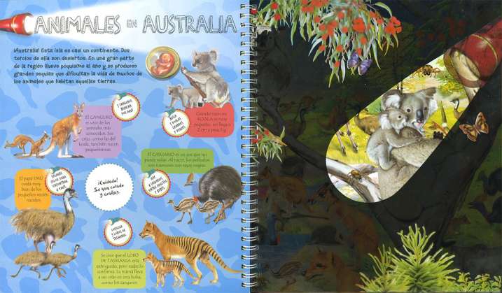 Animales y sus crías