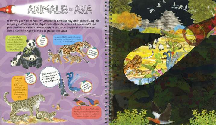 Animales y sus crías