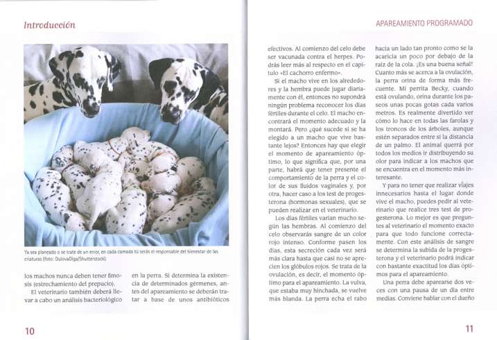 ¡Ayuda! Mi perra está preñada