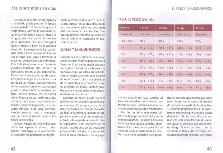 ¡Ayuda! Mi perra está preñada