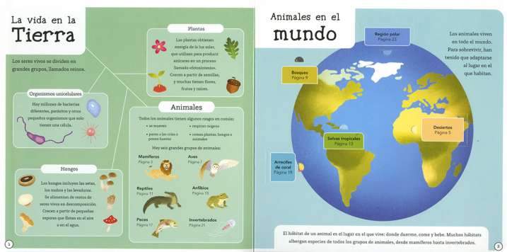 Animales asombrosos