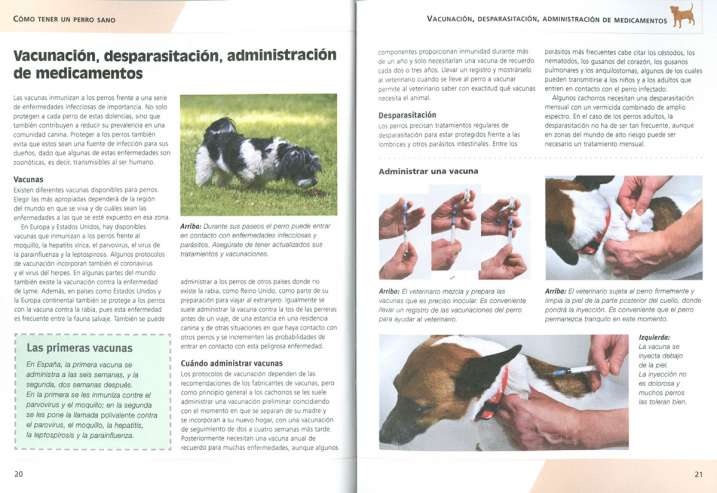 Primeros auxilios. La salud...