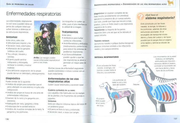 Primeros auxilios. La salud...