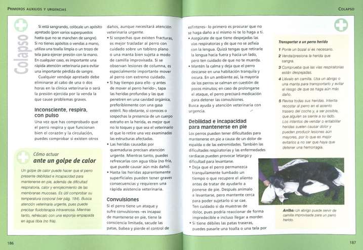 Primeros auxilios. La salud...