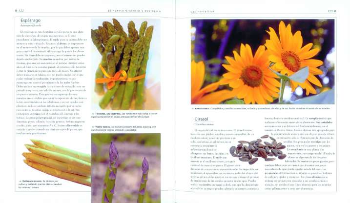 El huerto orgánico y ecológico