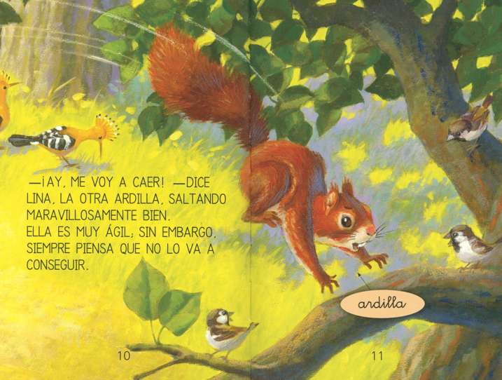 La ardilla optimista