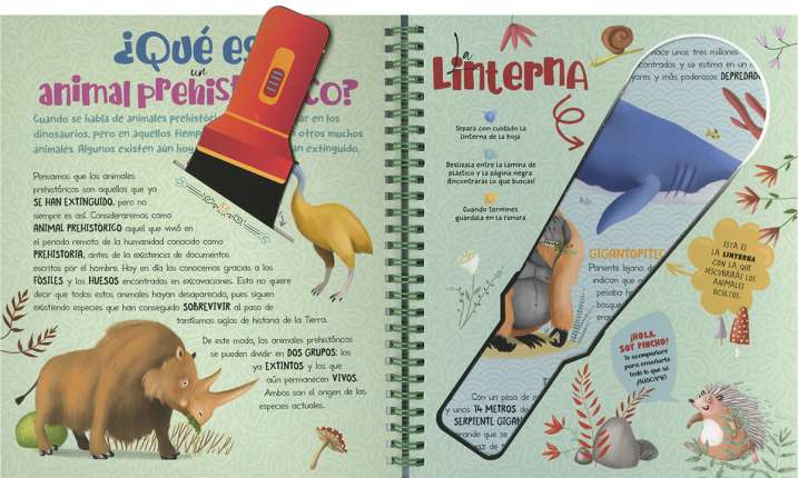 Busca con la linterna...