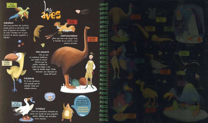 Busca con la linterna...