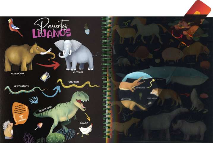 Busca con la linterna...