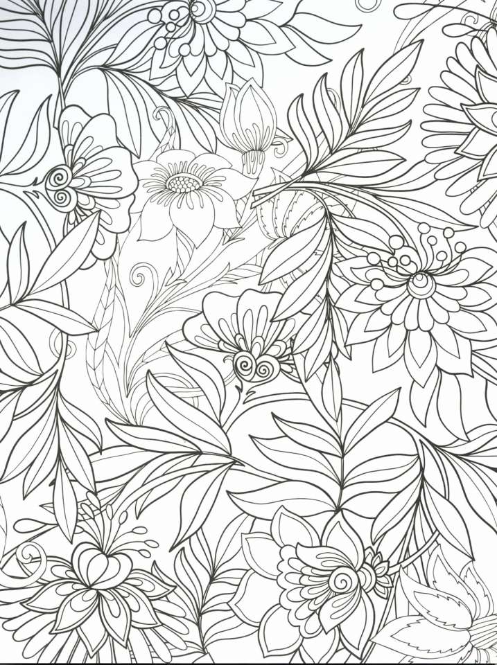 Unicornios arcoíris