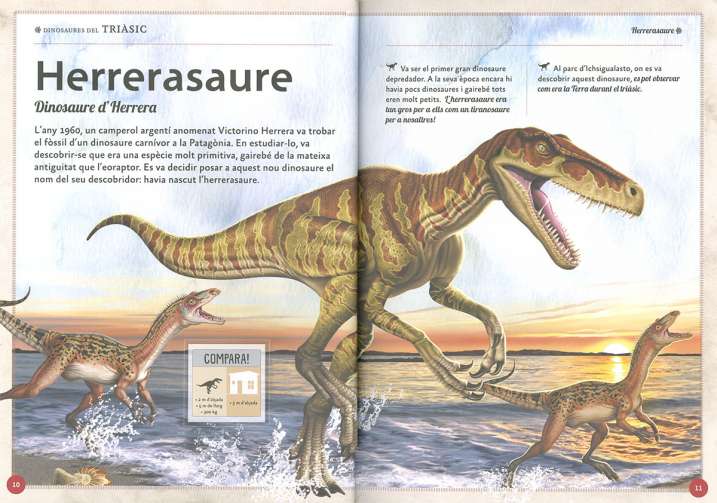 El magnífic llibre dels...