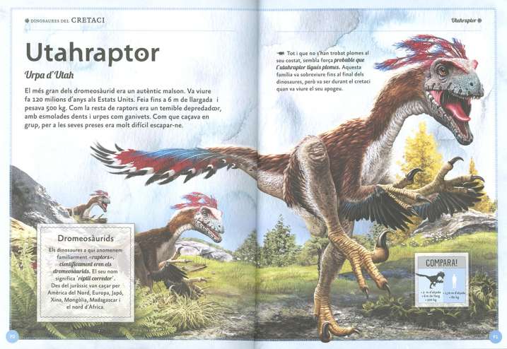 El magnífic llibre dels...