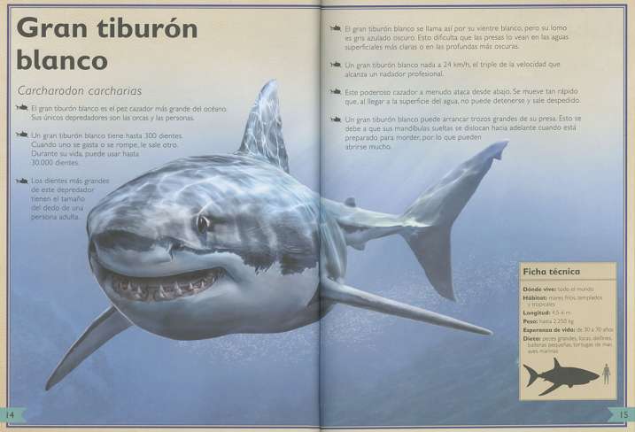 El majestuoso libro de los...