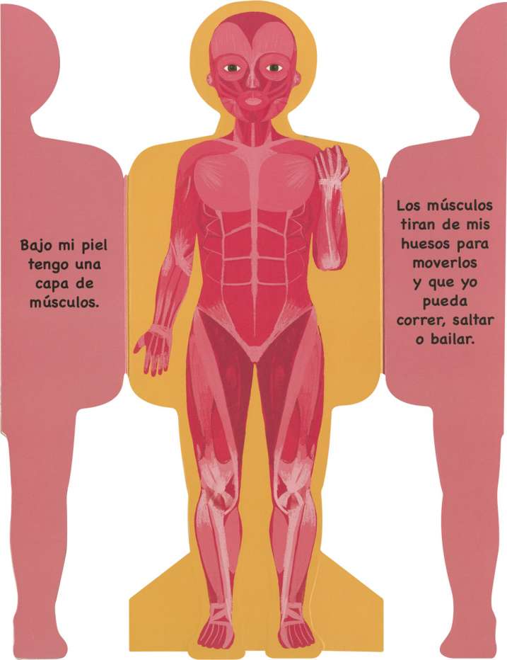 Así es mi cuerpo - Niño