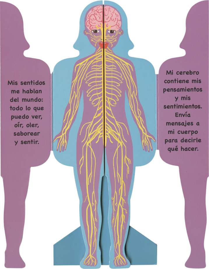 Así es mi cuerpo - Niña