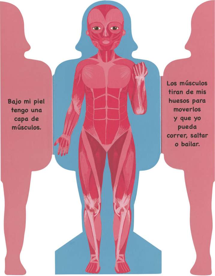 Así es mi cuerpo - Niña