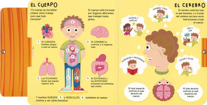 El cuerpo humano