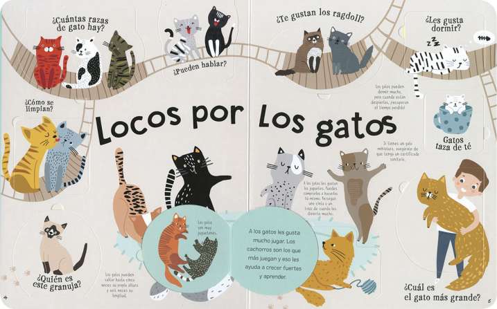 Locos por los gatos
