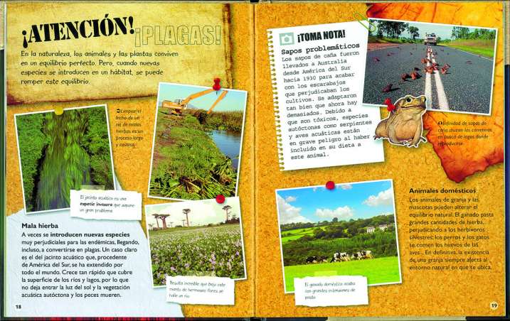 Animales en extinción