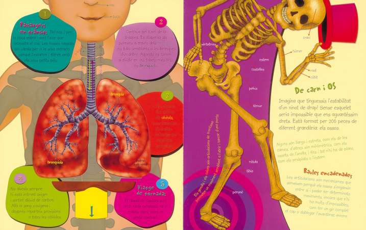 Descobreix el cos humà