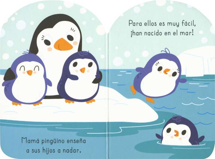 Animales bajo el mar