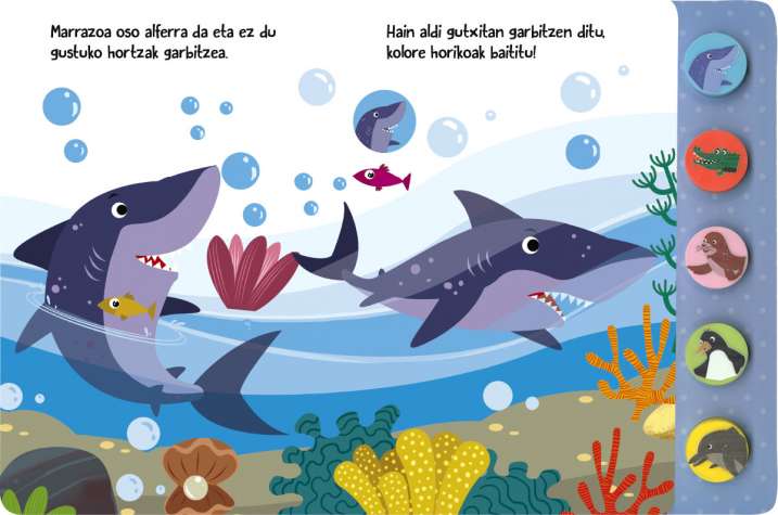 Marrazoa lagun bila dabil