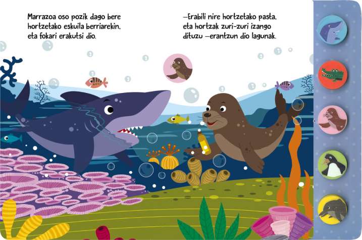 Marrazoa lagun bila dabil