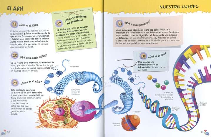 5OO preguntas y respuestas...