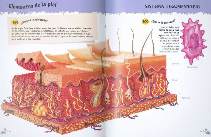 5OO preguntas y respuestas...