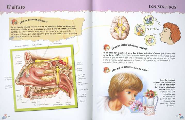 5OO preguntas y respuestas...