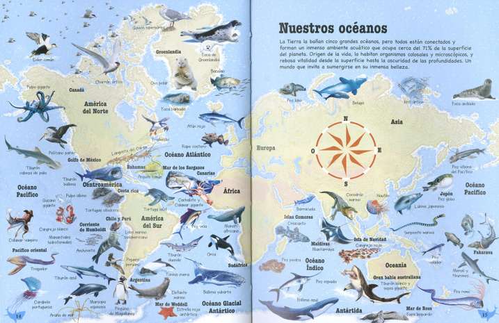 500 preguntas y respuestas...