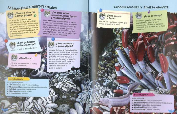 500 preguntas y respuestas...