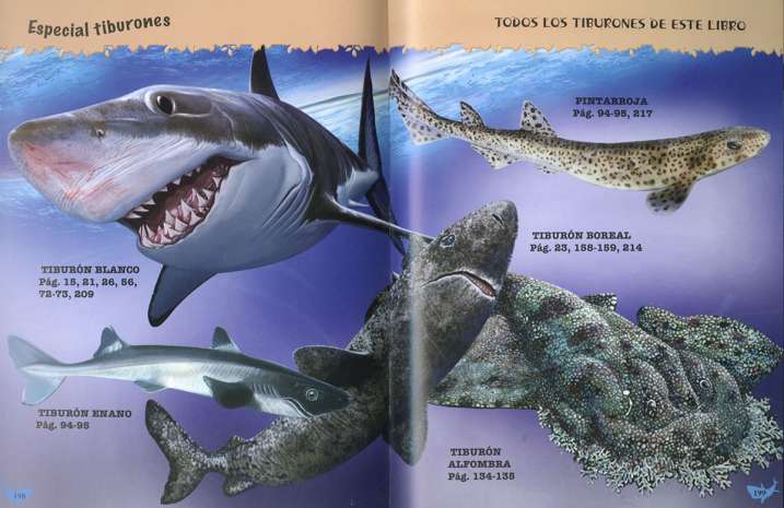 500 preguntas y respuestas...