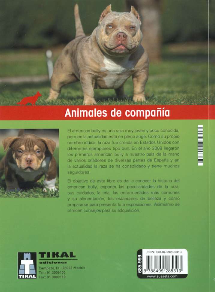 American bully