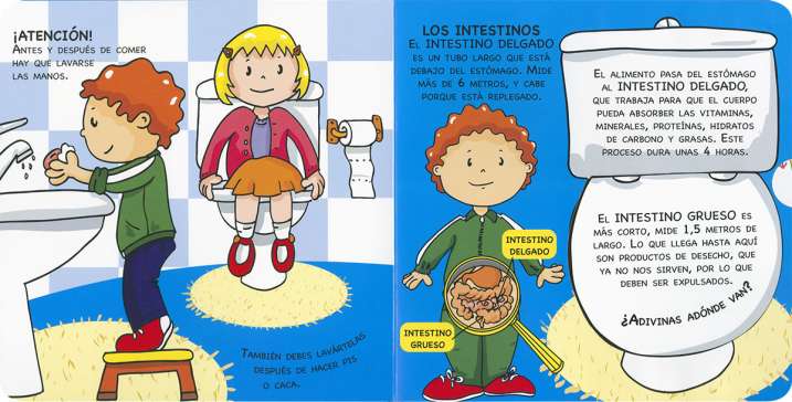 Mi primer libro de anatomía