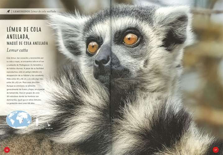 Primates. Tan cerca de lo...