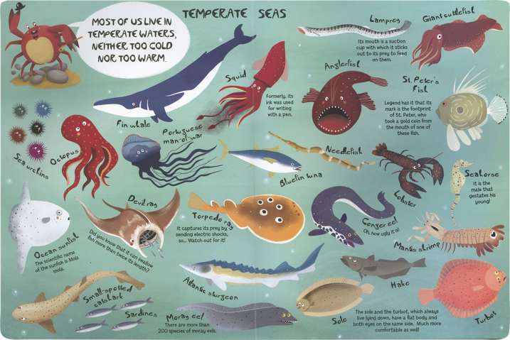 My great book of marine...