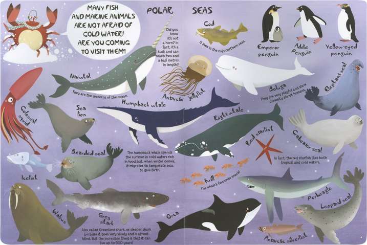 My great book of marine...