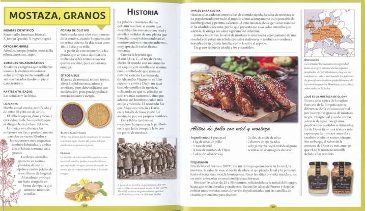 Especias y plantas aromáticas