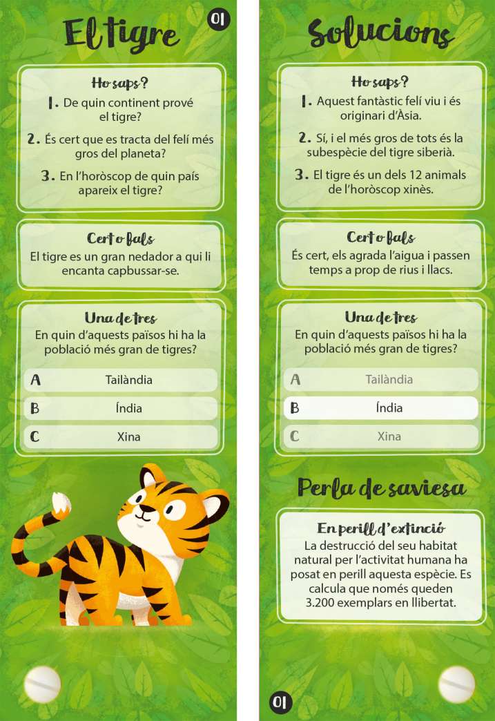 Estuche Diverti ment 6 titols