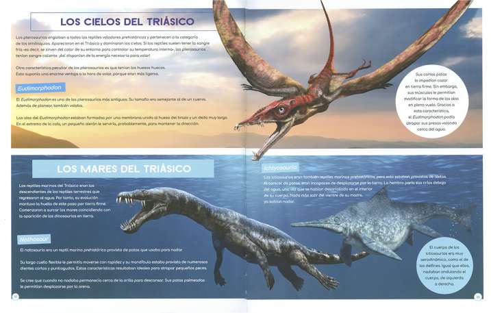 Descubre los dinosaurios