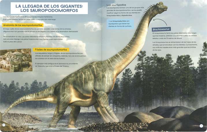 Descubre los dinosaurios