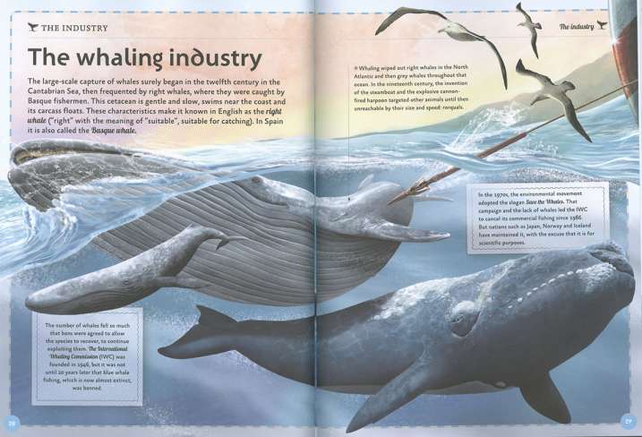 The magnificent book of whales