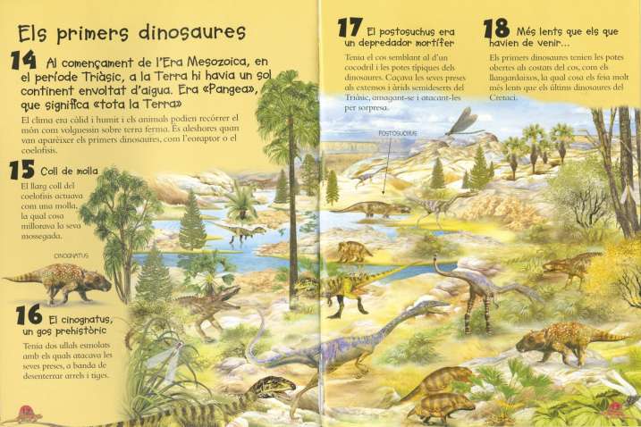 101 coses que hauries de...