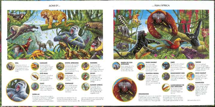 Escolta els sons de la selva