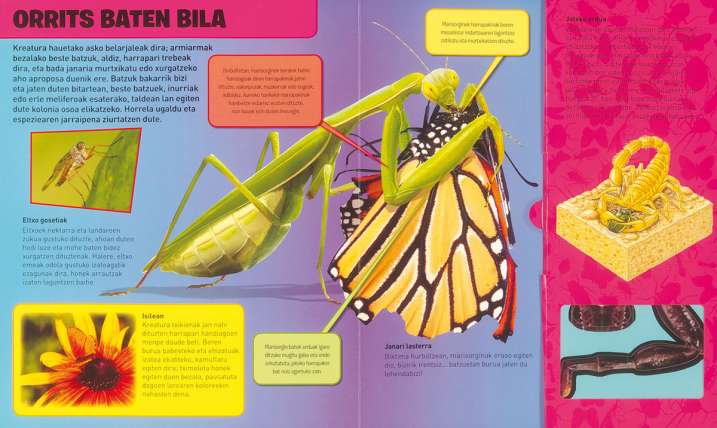 Zomorro harrigarriak