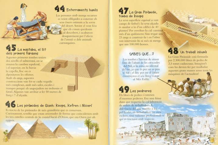 101 coses que hauries de...